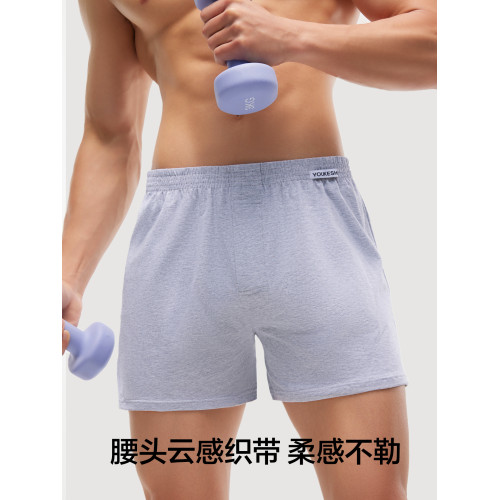 有棵樹男士阿羅褲純棉寬松四角短褲哈羅褲春夏男生內褲2025新款 有棵樹男士阿羅褲純棉寬松四角短褲哈羅褲春夏男生內褲2025新款