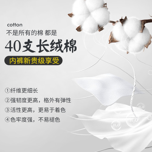 花花公子純白色內褲男平角夏季100%純棉襠男生抗菌淺色薄款四角褲 花花公子純白色內褲男平角夏季100%純棉襠男生抗菌淺色薄款四角褲