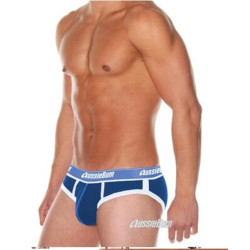 澳洲雄風男士內褲WJ系列男士全棉三角內褲