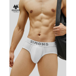 子墨三角內褲男士純棉10A抗菌白色顯大低腰性感男式褲衩褲頭男生