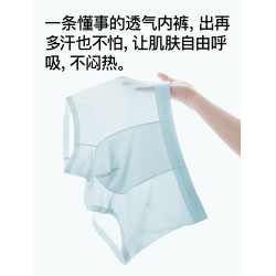 健丹鳥冰絲內褲男士無痕平角褲夏季薄款涼感透氣四角褲大碼短褲頭