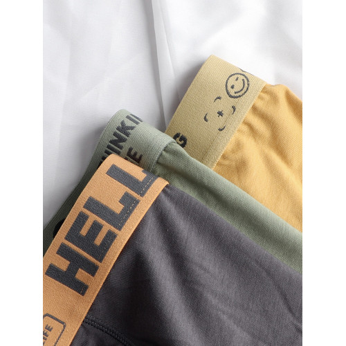 雅鹿男士內褲男生純棉透氣四角2025新款男款青少年男式平角短褲頭 雅鹿男士內褲男生純棉透氣四角2025新款男款青少年男式平角短褲頭