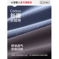 貓人純棉男士三角內褲男生款抗菌透氣底褲衩2025新款男式大碼褲頭