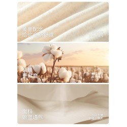 貓人青少年純棉內褲男生髮育期初高中學生平角短褲大童胖童四角褲