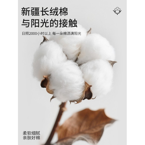 花花公子男士內褲純棉新男款四角短褲衩平角男生抗菌大碼運動透氣 花花公子男士內褲純棉新男款四角短褲衩平角男生抗菌大碼運動透氣