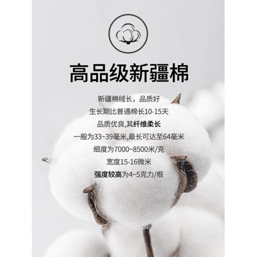 雅鹿男士內褲男純棉抗菌條紋透氣四角褲男生運動平角褲大碼短褲衩 雅鹿男士內褲男純棉抗菌條紋透氣四角褲男生運動平角褲大碼短褲衩