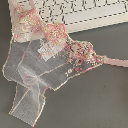 超透明 丁字褲女刺綉花網紗蕾絲一根線細帶2025新款鏤空無痕火辣 超透明 丁字褲女刺綉花網紗蕾絲一根線細帶2025新款鏤空無痕火辣