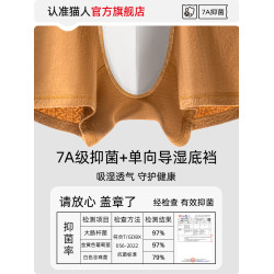 貓人男士內褲純棉男款四角褲蠶絲抗菌襠2025新款男生透氣平角短褲