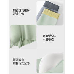 朵朵棉莫代爾男士內褲桑蠶絲底襠運動透氣四角褲男生短褲頭青少年