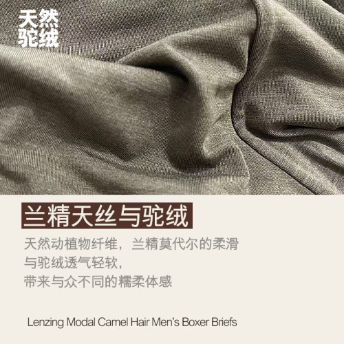 高級駝絨男士內褲蘭精莫代爾內褲男透氣吸汗運動內褲戶外速乾