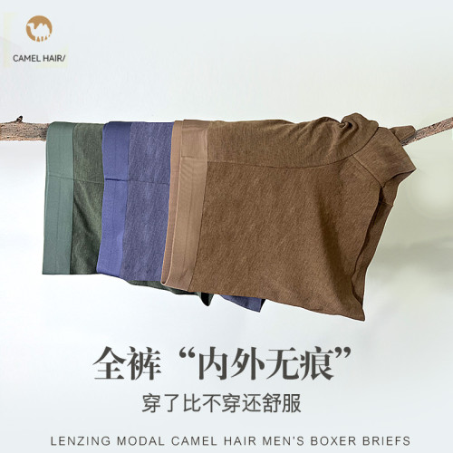 高級駝絨男士內褲蘭精莫代爾內褲男透氣吸汗運動內褲戶外速乾