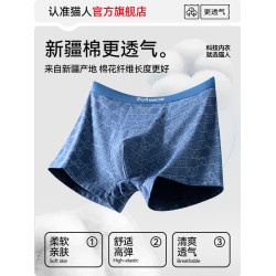 貓人男士內褲男生純棉抗菌四角褲2025新款男式運動平角短褲衩男款