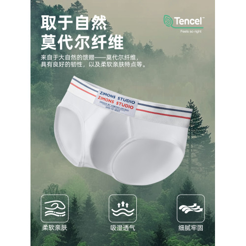 子墨內褲男款三角褲莫代爾低腰抗菌青年褲衩男生性感運動新款褲頭 子墨內褲男款三角褲莫代爾低腰抗菌青年褲衩男生性感運動新款褲頭