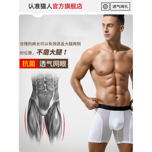 貓人男士冰絲運動內褲2025夏季薄款大碼防磨腿海綿網眼透氣四角褲 貓人男士冰絲運動內褲2025夏季薄款大碼防磨腿海綿網眼透氣四角褲