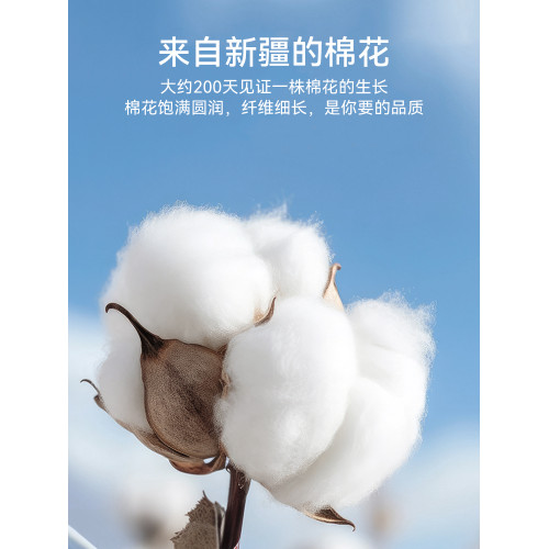 貓人純棉男士三角內褲男生2025新款抑菌全棉襠透氣大碼短褲頭褲衩 貓人純棉男士三角內褲男生2025新款抑菌全棉襠透氣大碼短褲頭褲衩