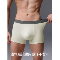 有棵樹男士內褲青少年純棉男生平角褲男式四角褲2025新款短褲男款
