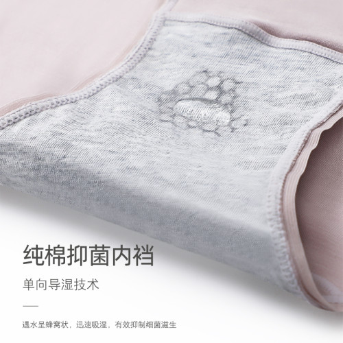 女士內褲女純棉全棉襠抗菌莫代爾少女無痕夏季薄款透氣三角短褲頭
