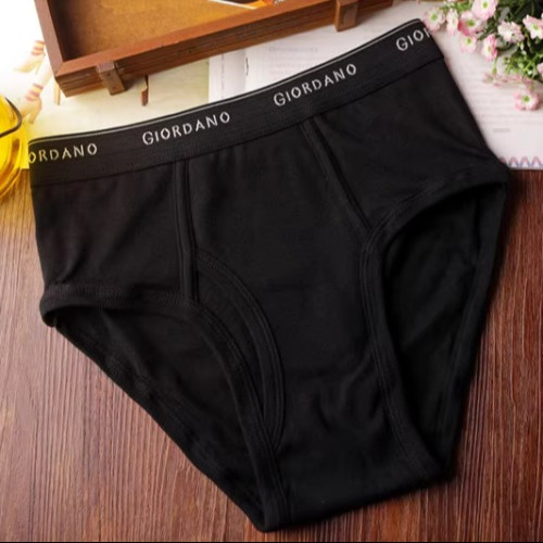 6條佐丹奴內褲男裝底褲男士內褲三角褲中腰全棉三角內褲01171514