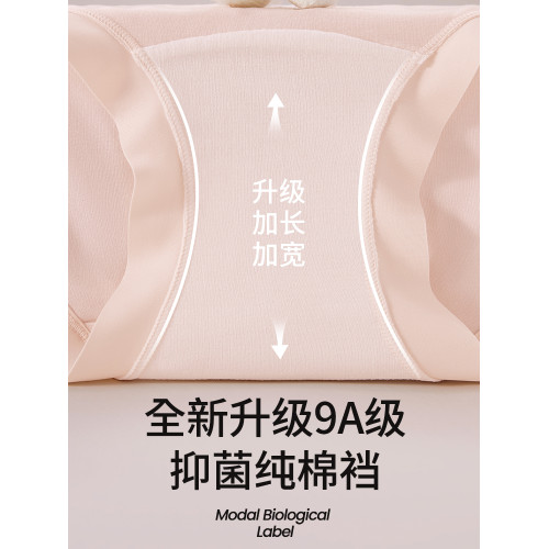 莫代爾內褲女士100%純棉抑菌襠2025新款中腰無痕透氣不夾臀三角褲 莫代爾內褲女士100%純棉抑菌襠2025新款中腰無痕透氣不夾臀三角褲
