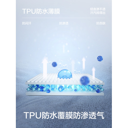 有棵樹純棉生理期內褲女士月經期防漏安全褲中高腰例假抗菌衛生褲