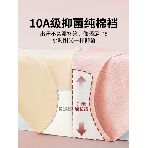 貓人女士內褲2025新款無痕純棉7a級抗菌三角褲中腰運動性感少女生 貓人女士內褲2025新款無痕純棉7a級抗菌三角褲中腰運動性感少女生