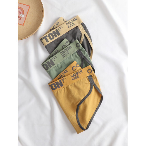 女士內褲純棉女全棉運動三角褲頭中腰寬邊舒適透氣抗菌短褲青年 女士內褲純棉女全棉運動三角褲頭中腰寬邊舒適透氣抗菌短褲青年