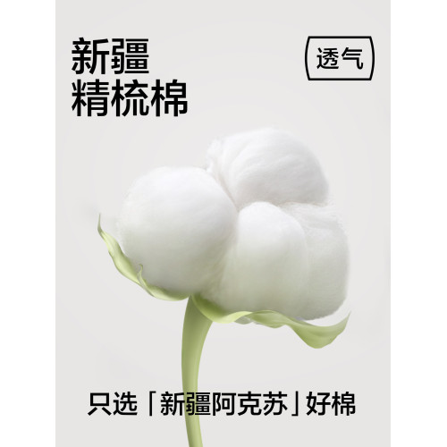 有棵樹純棉內褲女生桑蠶絲抗菌襠無痕中腰透氣舒適2026新三角短褲