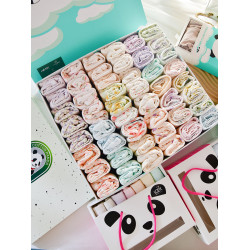 億寵兒 組合裝~星期褲棉質舒適女士內褲hi億寵兒世界 大碼 內褲女