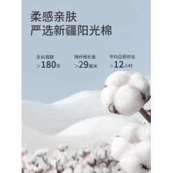 caramella純棉內褲女夏季薄款抗菌親膚透氣不卡襠短褲女生三角褲