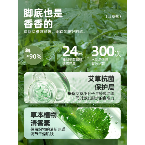 子墨短襪男士艾草防臭10A抗菌秋冬厚款純棉透氣毛巾底白運動襪子