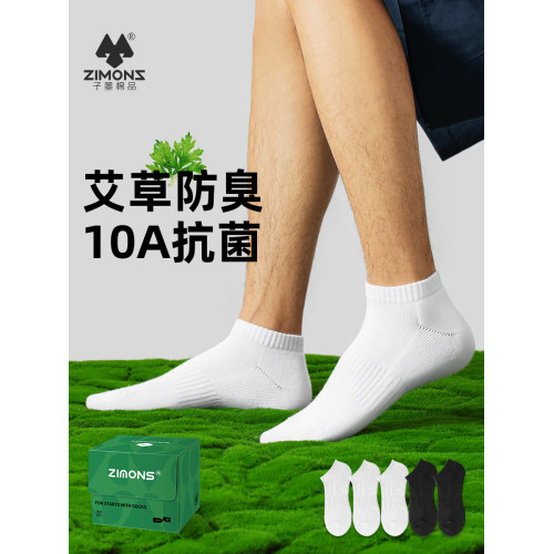 子墨短襪男士艾草防臭10A抗菌秋冬厚款純棉透氣毛巾底白運動襪子