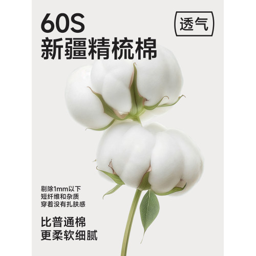 a類內褲女士純全棉10a級抗菌無痕短褲2025新款女生大碼三角底褲衩