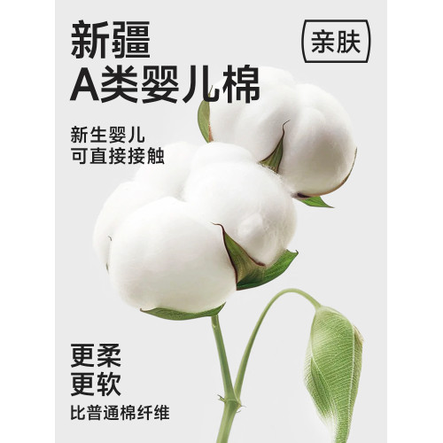 南極人內褲女士純棉抗菌2025新款少女生全棉夏季薄款大碼三角短褲 南極人內褲女士純棉抗菌2025新款少女生全棉夏季薄款大碼三角短褲