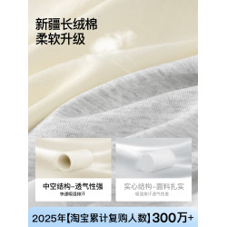 sw平角女士內褲四角純棉檔10a抗菌無痕女式夏薄款防走光包臀短褲