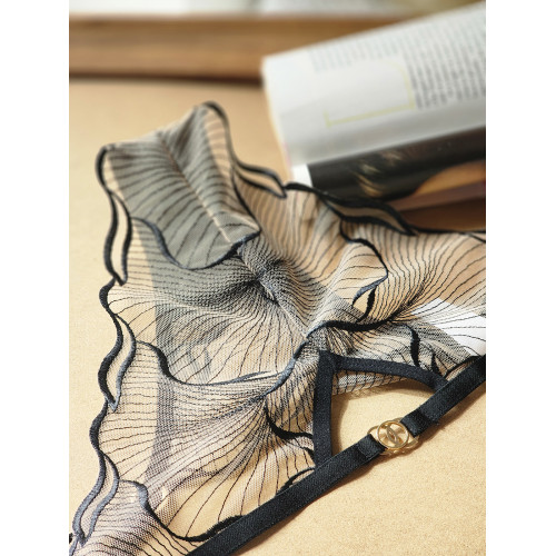 2025法式性感純欲蕾絲內褲女士低腰透明超薄款網紗無痕誘惑底褲頭 2025法式性感純欲蕾絲內褲女士低腰透明超薄款網紗無痕誘惑底褲頭