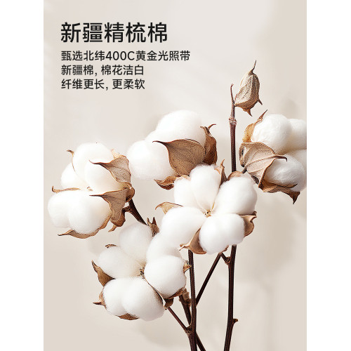 男士內褲男生男款純棉抗菌透氣2025新款男式四角短褲全棉平角褲衩 男士內褲男生男款純棉抗菌透氣2025新款男式四角短褲全棉平角褲衩