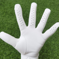 全新高爾夫手套【拉姆同款】比賽用男士TOUR職業耐磨防滑羊皮手套