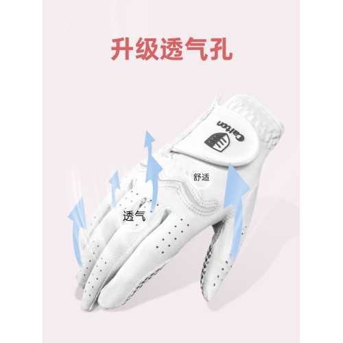 caiton高爾夫手套女款魔術貼下場專用比賽golf球透氣耐磨防滑手套