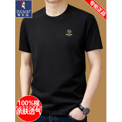 啄木鳥純棉短袖t恤男士圓領夏季2025新款體恤寬鬆上衣半袖男裝潮T