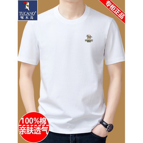 啄木鳥純棉短袖t恤男士圓領夏季2025新款體恤寬鬆上衣半袖男裝潮T
