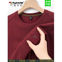 啄木鳥衛衣男加絨加厚2025新款春秋純棉男長袖t恤圓領打底衫上衣