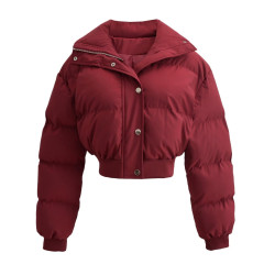 網紅長袖修身外套辣妹純欲立領拉鍊松緊收腰保暖麵包服短款棉衣