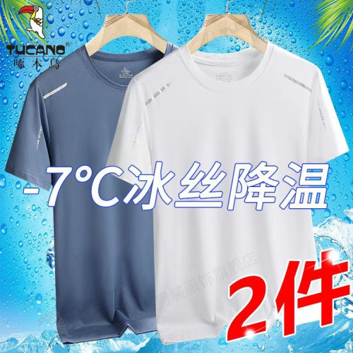 啄木鳥夏季冰絲短袖T恤男士休閒寬鬆青年網眼運動體恤男打底上衣