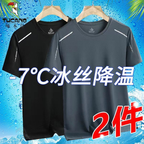 啄木鳥夏季冰絲短袖T恤男士休閒寬鬆青年網眼運動體恤男打底上衣