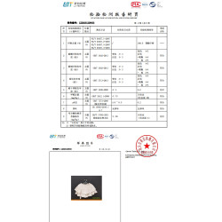 MR.DUANZL白色蛋糕裙短裙半身裙女2025春秋蓬蓬褲裙小裙子短款夏