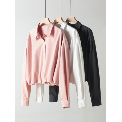 日單防皺免燙通勤休閒短款襯衣2025新款女春秋設計感長袖襯衫上衣