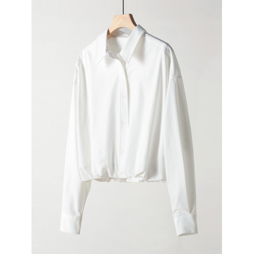 日單防皺免燙通勤休閒短款襯衣2025新款女春秋設計感長袖襯衫上衣