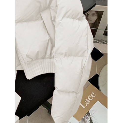 白色短款棉服女冬季2025年新款小個子設計高級感炸街保暖棉服百搭 白色短款棉服女冬季2025年新款小個子設計高級感炸街保暖棉服百搭