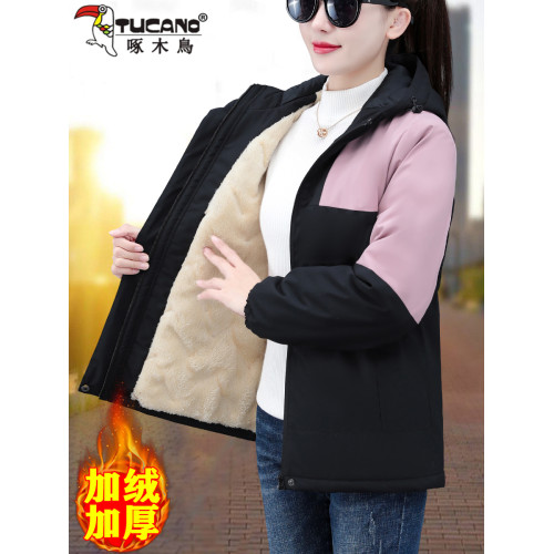 啄木鳥夾棉沖鋒衣外套女秋冬2025年新款夾克冬季加絨加厚棉衣棉服 啄木鳥夾棉沖鋒衣外套女秋冬2025年新款夾克冬季加絨加厚棉衣棉服