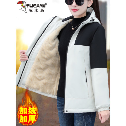 啄木鳥夾棉沖鋒衣外套女秋冬2025年新款夾克冬季加絨加厚棉衣棉服 啄木鳥夾棉沖鋒衣外套女秋冬2025年新款夾克冬季加絨加厚棉衣棉服